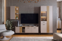 Гостиная Доминика К4 Гостиная Доминика К4