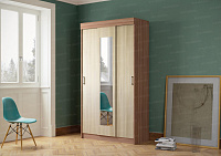 Шкаф-купе Эко (Ясень шимо темный/Ясень шимо светлый)