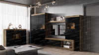 Гостиная Дуб Делано Черный глянец Коллекция